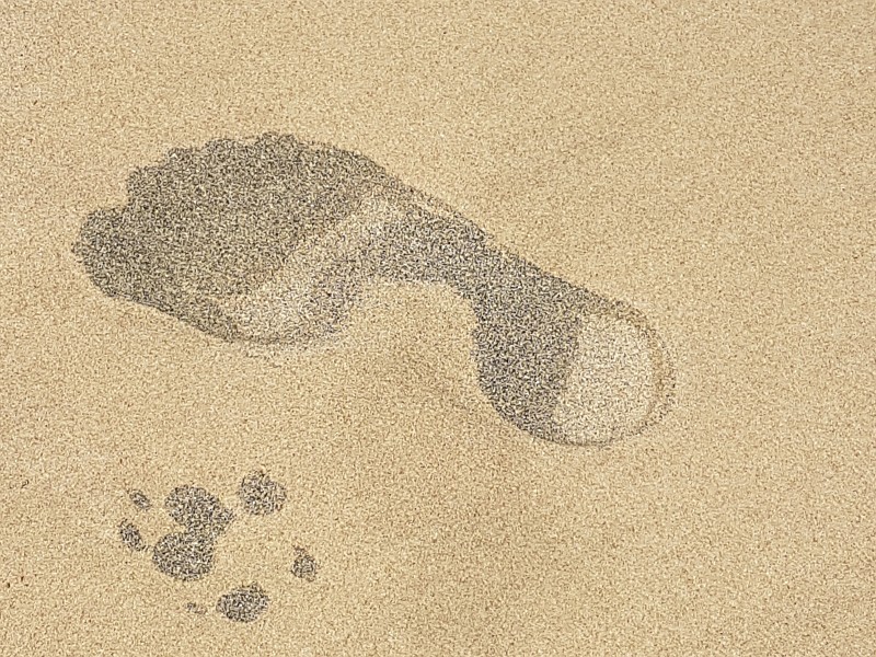 Spuren im Sand am Strand von Cabo Verde