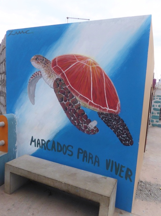 Wandmalerei Meeresschildkröte